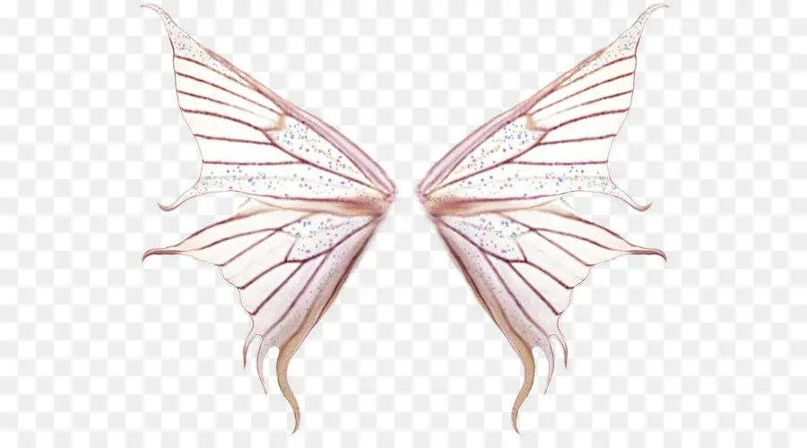 Mariposa，Software PNG