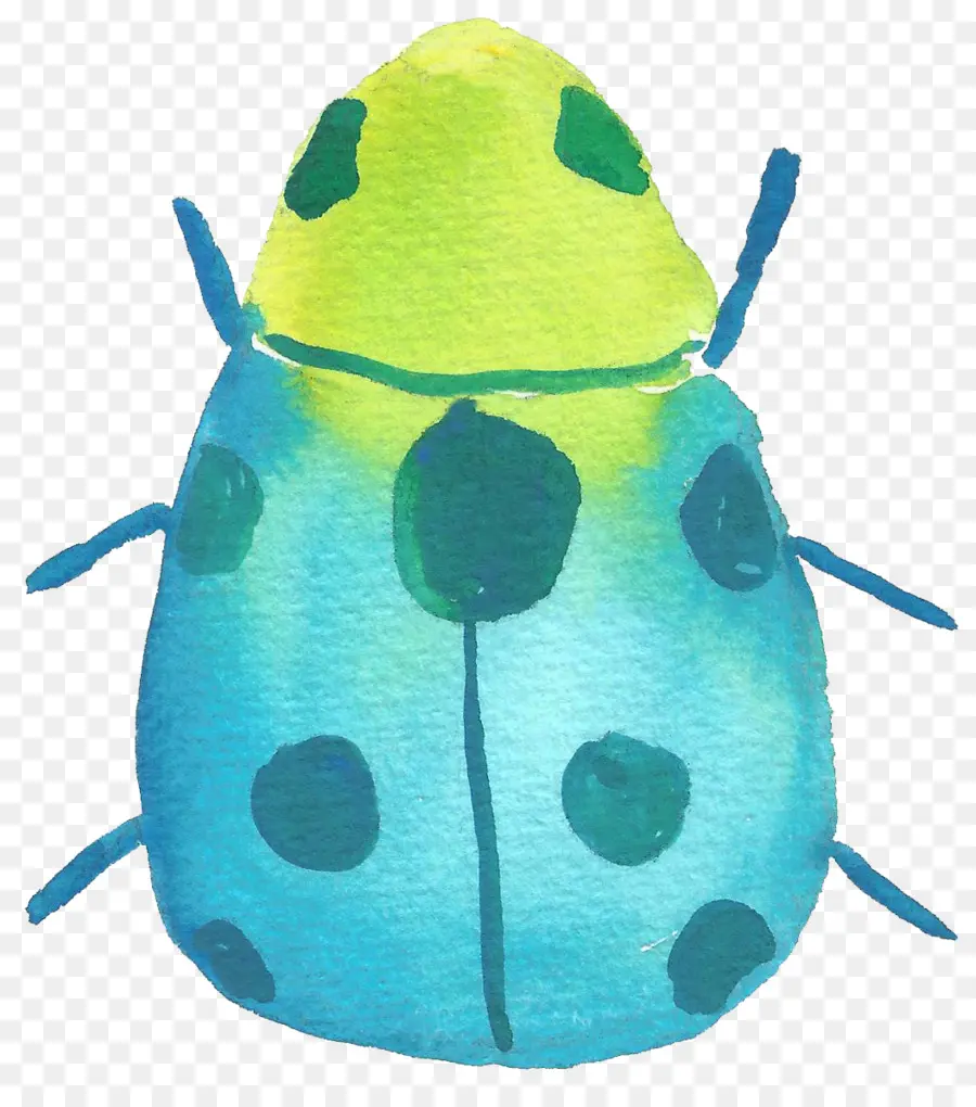 Insecto Colorido，Escarabajo PNG