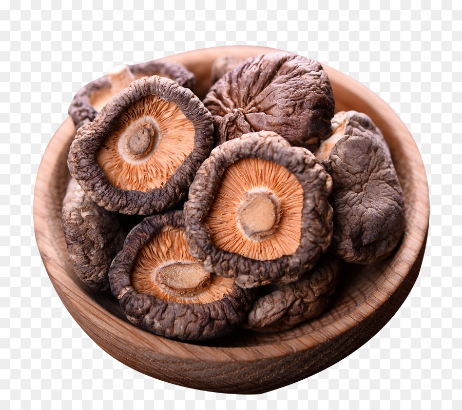 Seta，Shiitake PNG