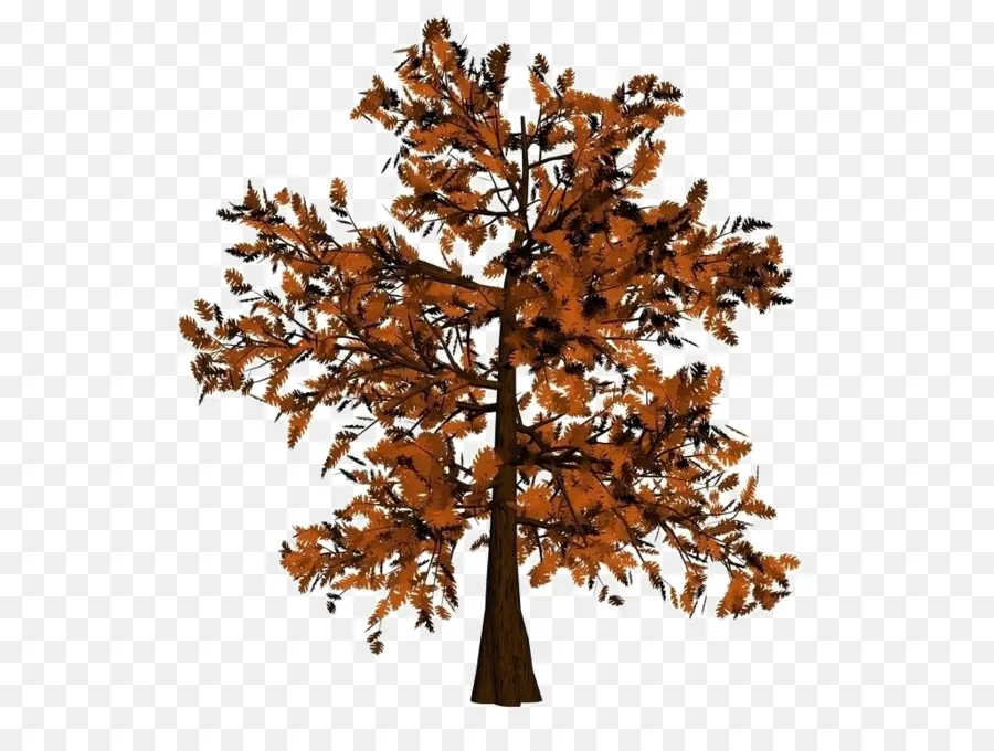 árbol De Otoño，Árbol PNG