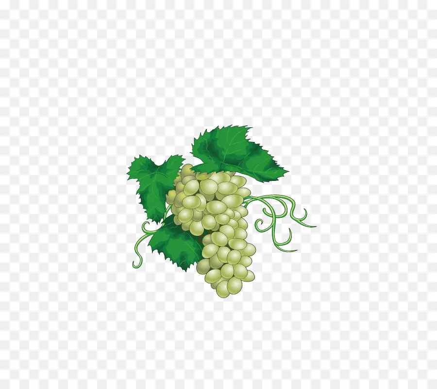 Chenin Blanc，Vino PNG