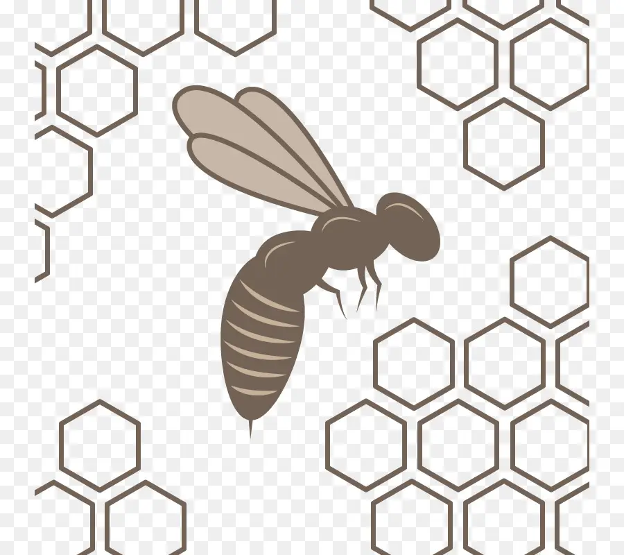 Abeja，Panal PNG