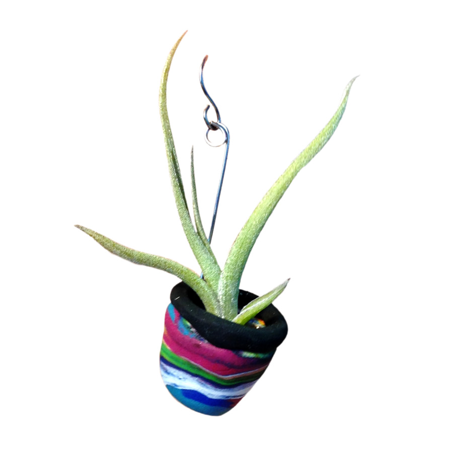 Maceta，Planta PNG