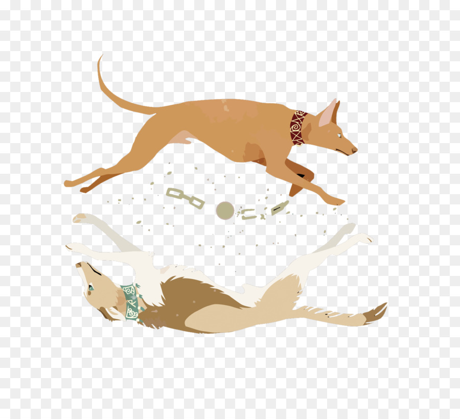 Perros Corriendo，Collares PNG