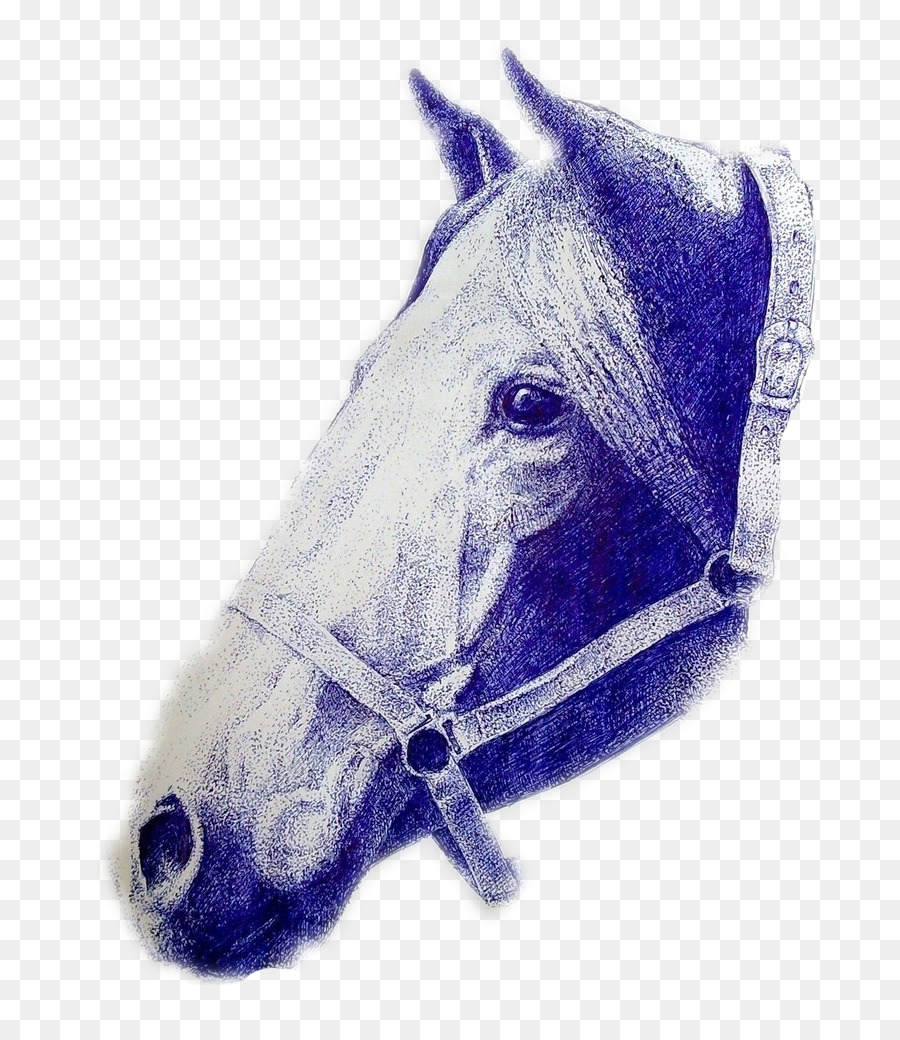 Caballo，Dibujo PNG