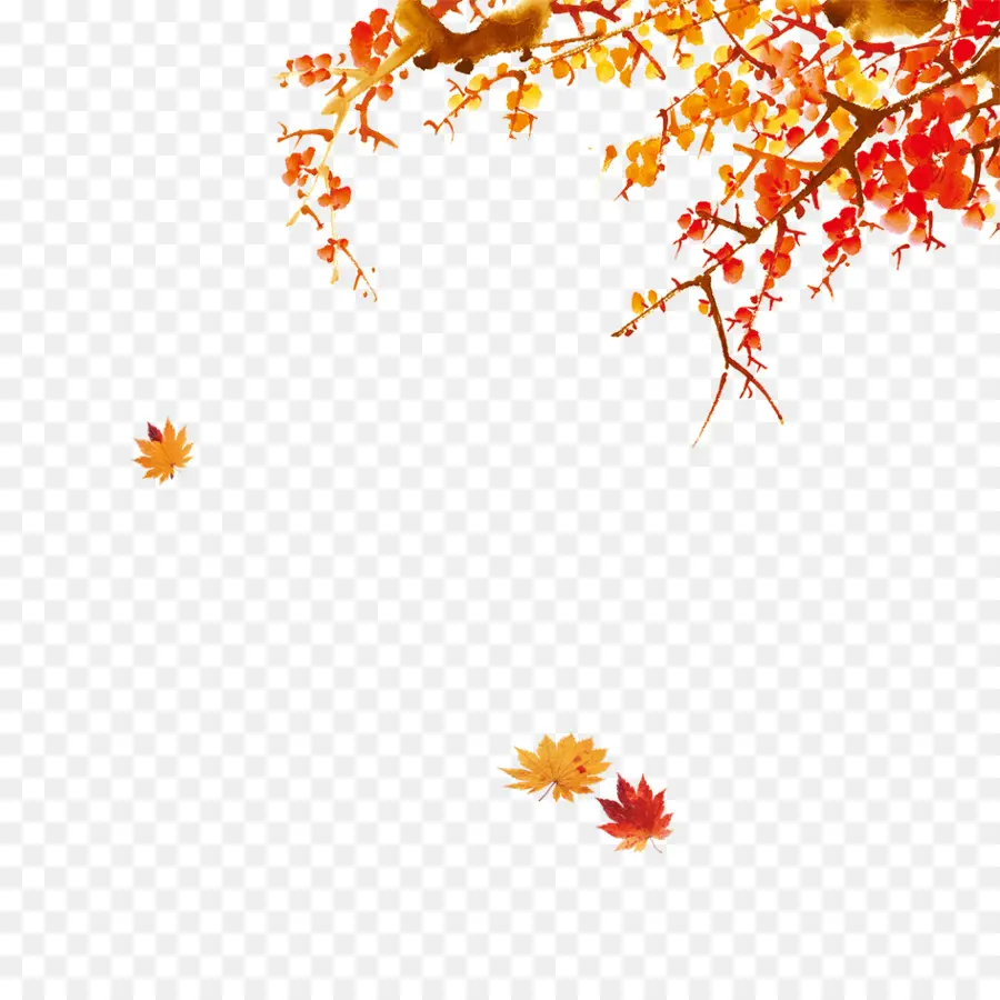 árbol De Otoño，Hojas PNG