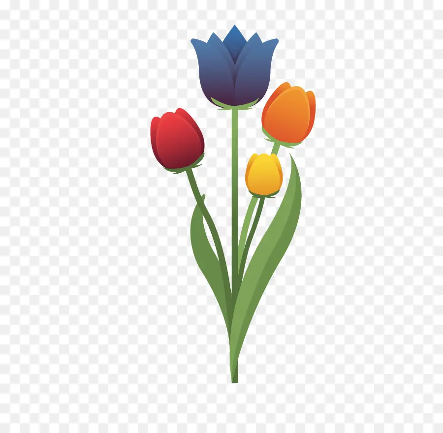 Tulipanes，Vistoso PNG