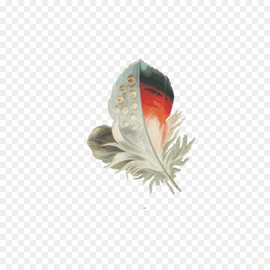 Pluma，Animación PNG