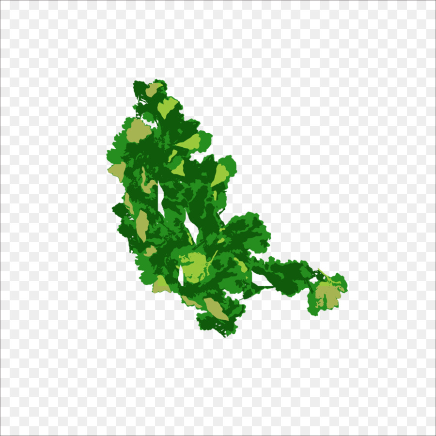 Hoja，Verde PNG