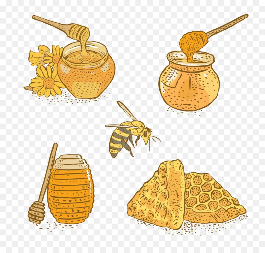 Abeja，La Miel PNG