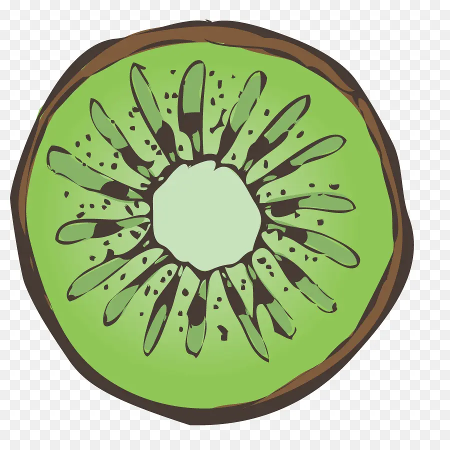 Rebanada De Kiwi，Verde PNG