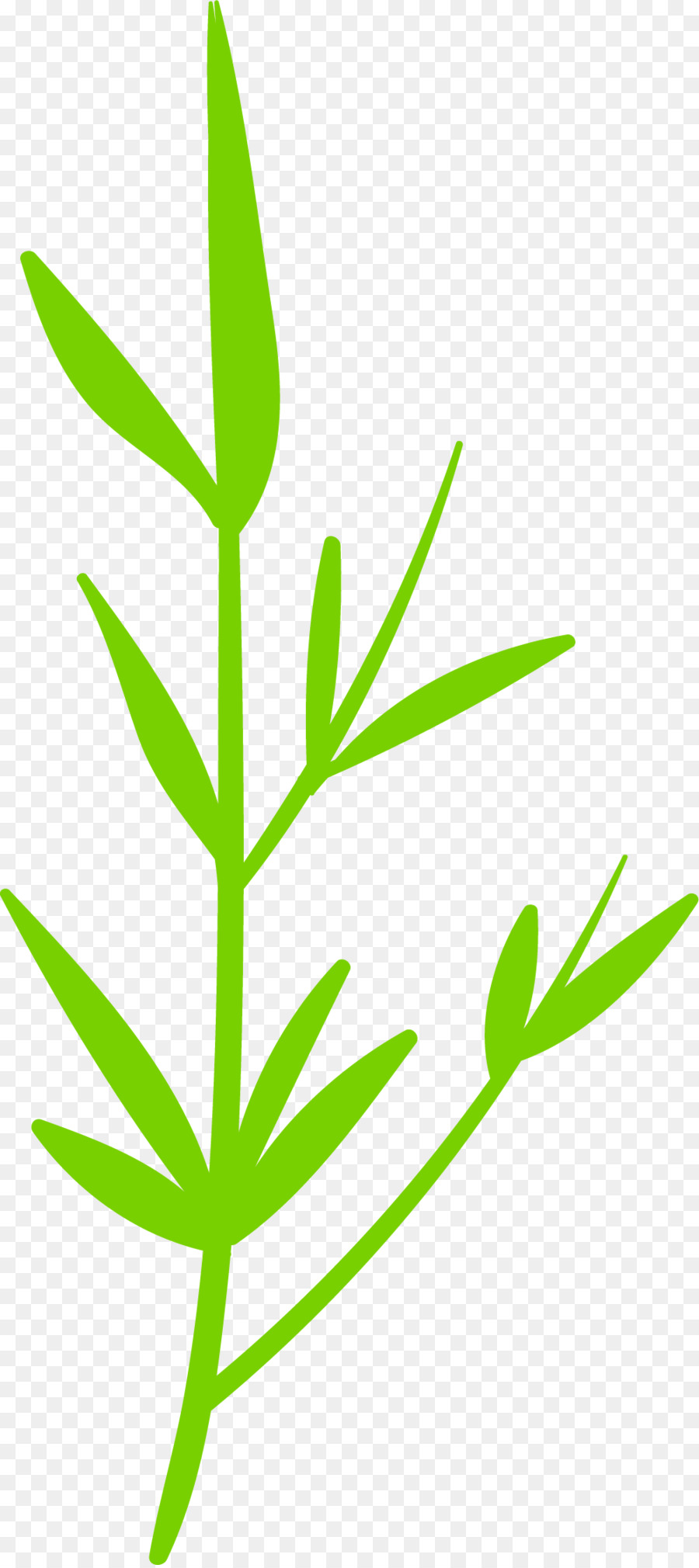 Hoja，Verde PNG