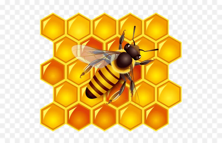 Abeja，La Miel PNG