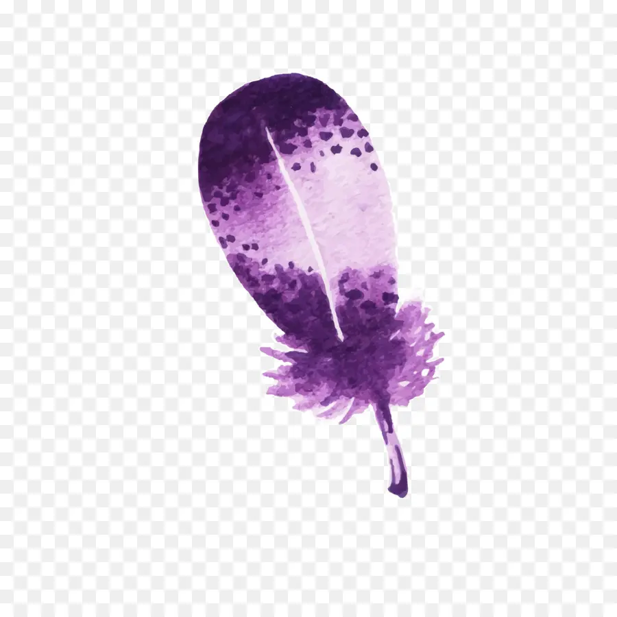 Pájaro，Pluma PNG