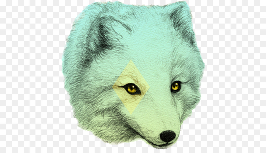 Fox，Dibujo PNG