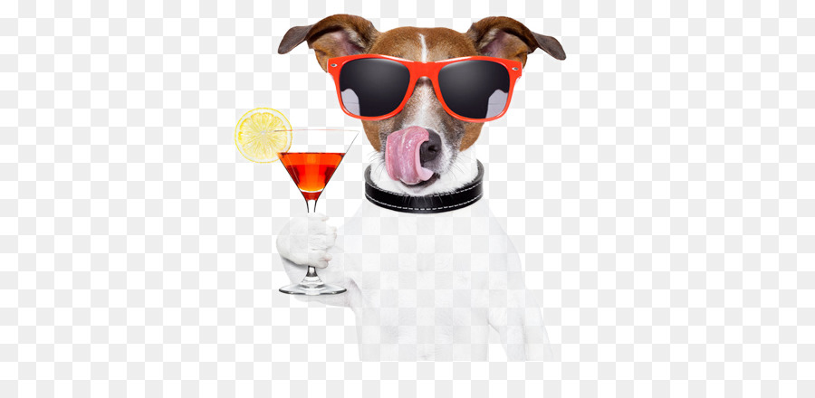 Perro Con Gafas De Sol，Cóctel PNG