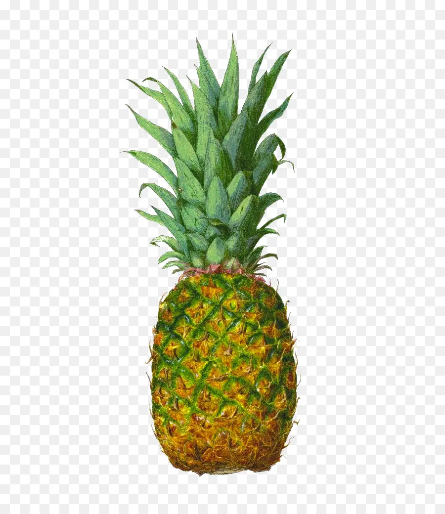 Piña，Jugo PNG