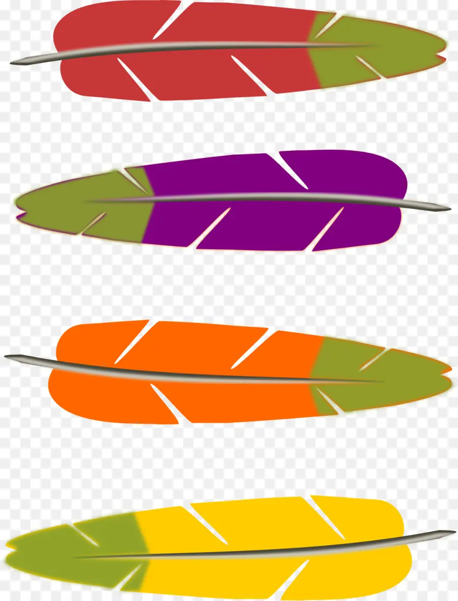 Plumas Coloridas，Plumas PNG