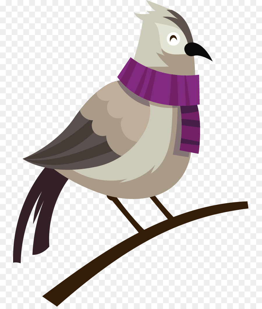 Pájaro，Pluma PNG