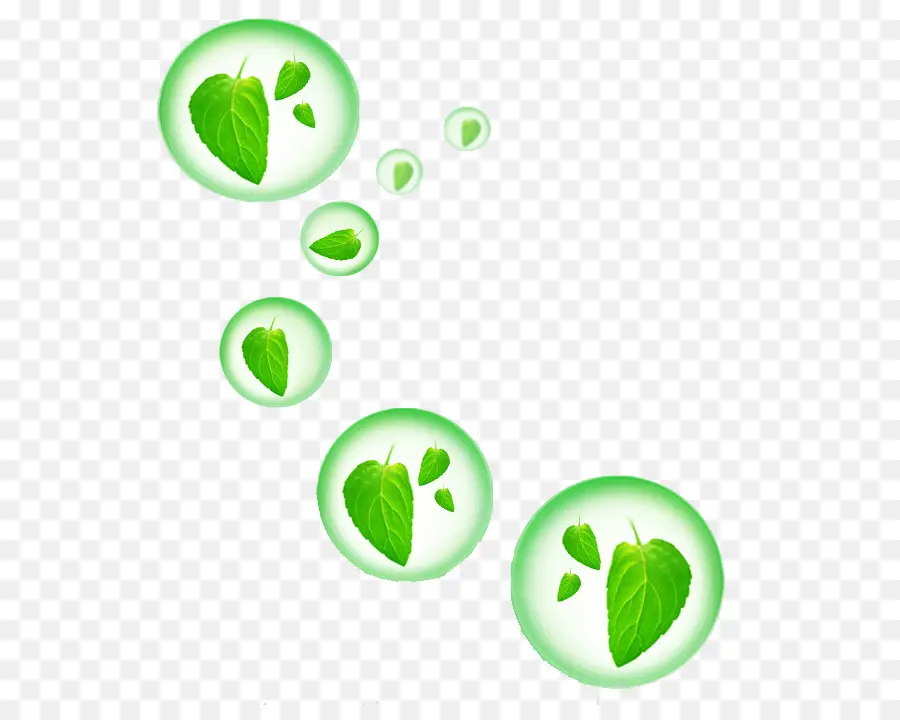 Hojas Verdes，Planta PNG