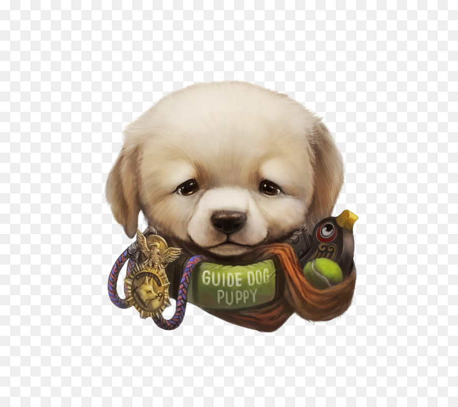 Cachorro，Perro PNG