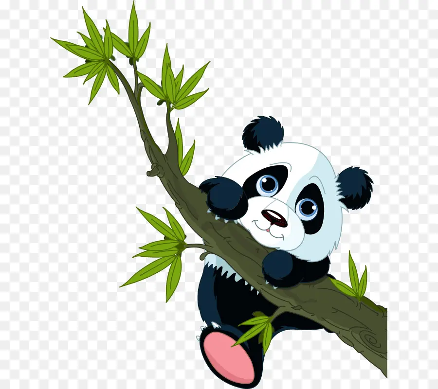 El Panda Gigante，El Panda Rojo PNG