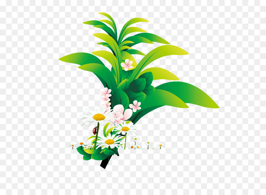 Planta Verde，Hojas PNG