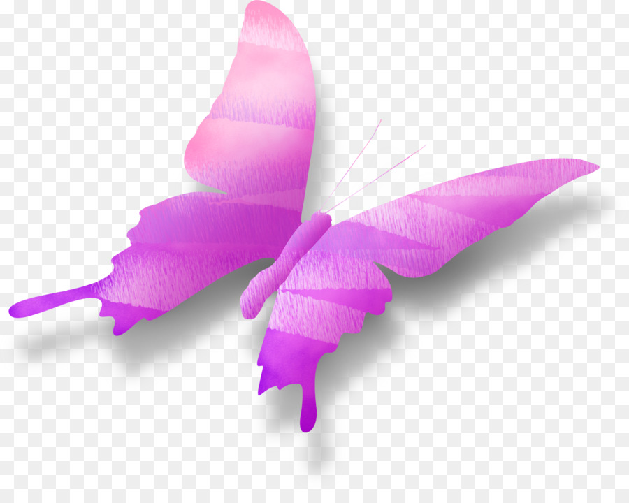 Mariposa，Gradiente PNG