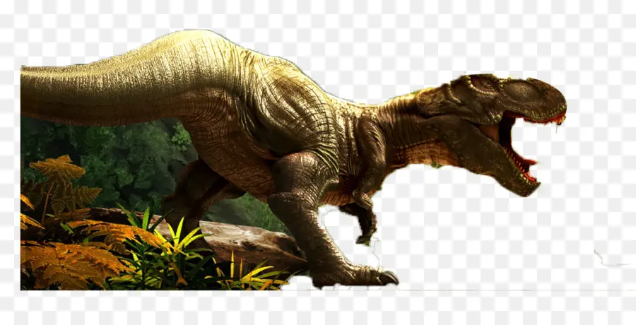 Tyrannosaurus，Fósiles De Dinosaurio PNG