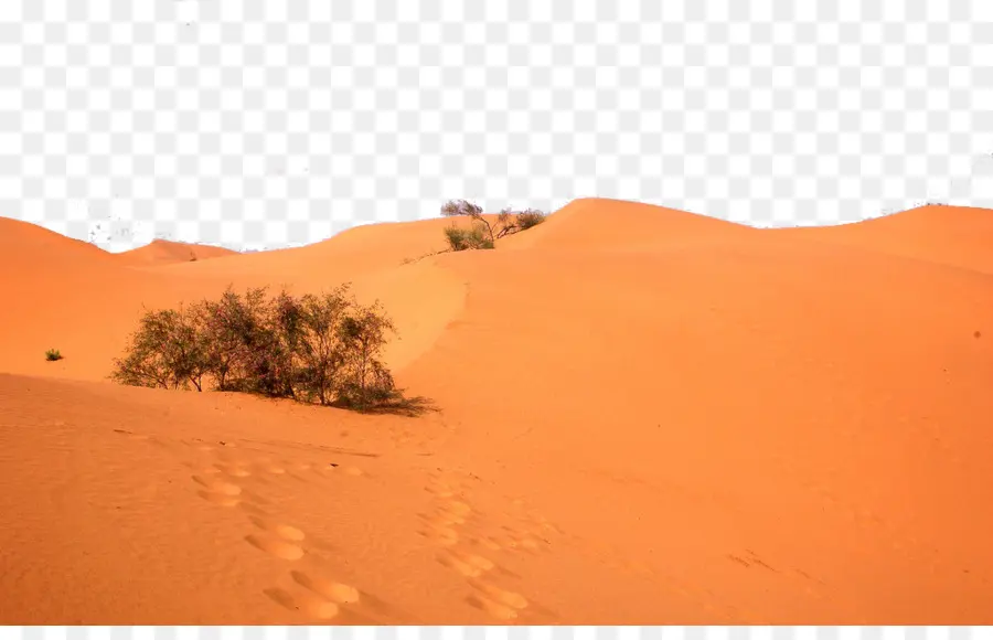 Sahara，Erg PNG