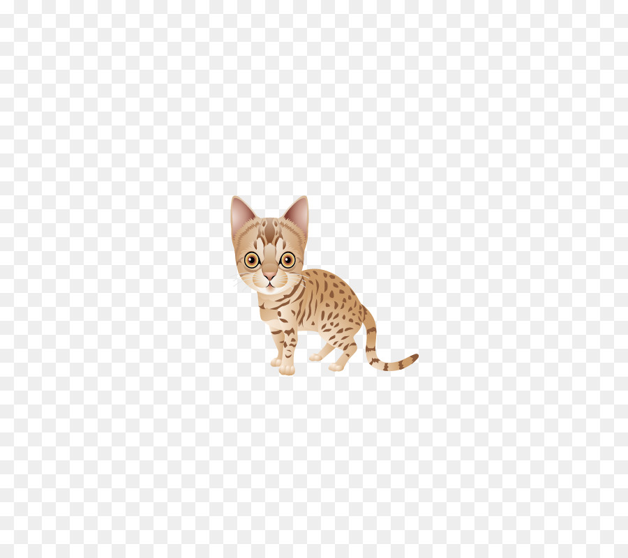 Ocicat，Gato De Bengala PNG