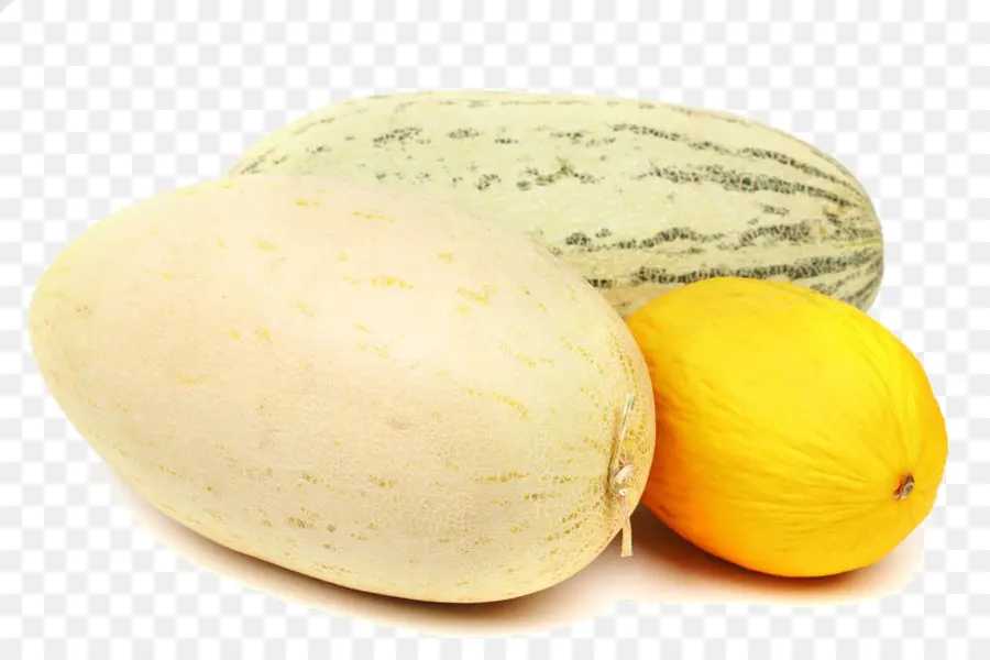 Melón，Melón Galia PNG