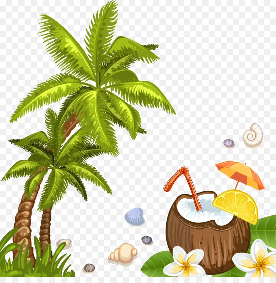 Agua De Coco，Coco PNG