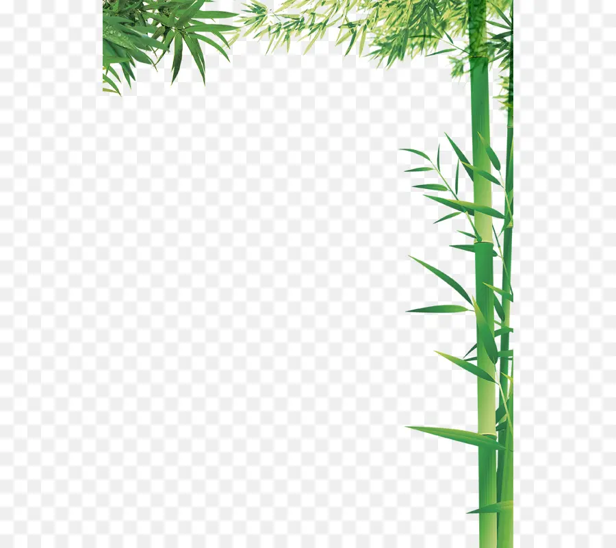 Bambú，Columna PNG