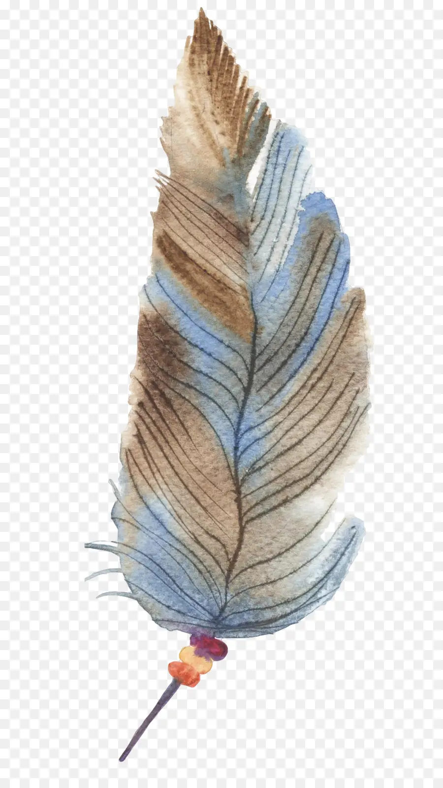 Pluma，Dibujo PNG