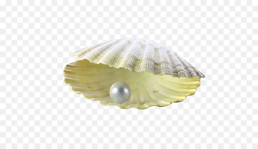 Perla，Polvo De Perla PNG