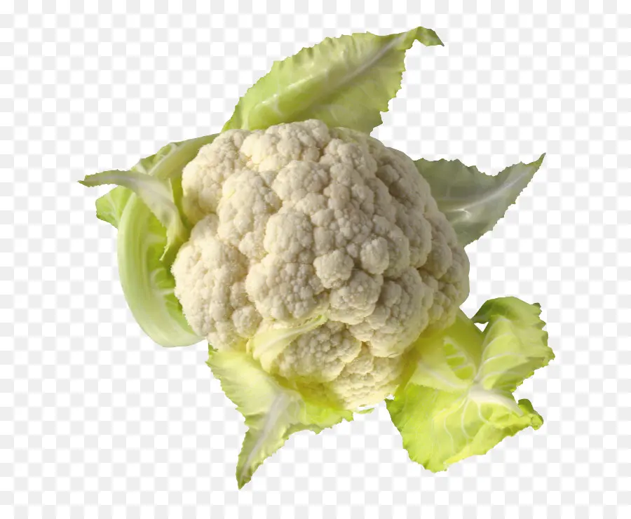 La Coliflor，Col PNG