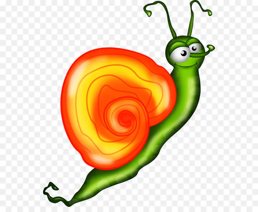 Caracol，Escargot PNG