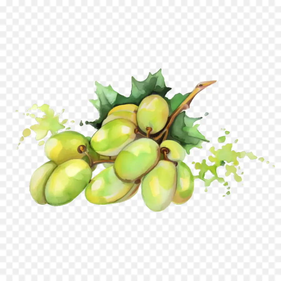 Pintura A La Acuarela，La Fruta PNG