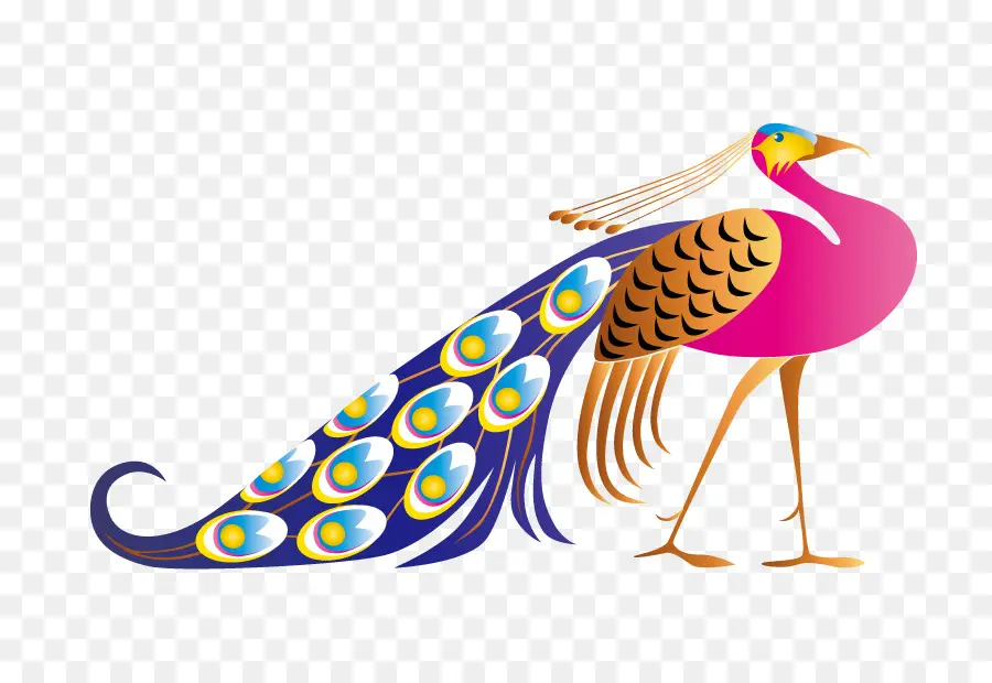 Pavo Real，Plumas PNG