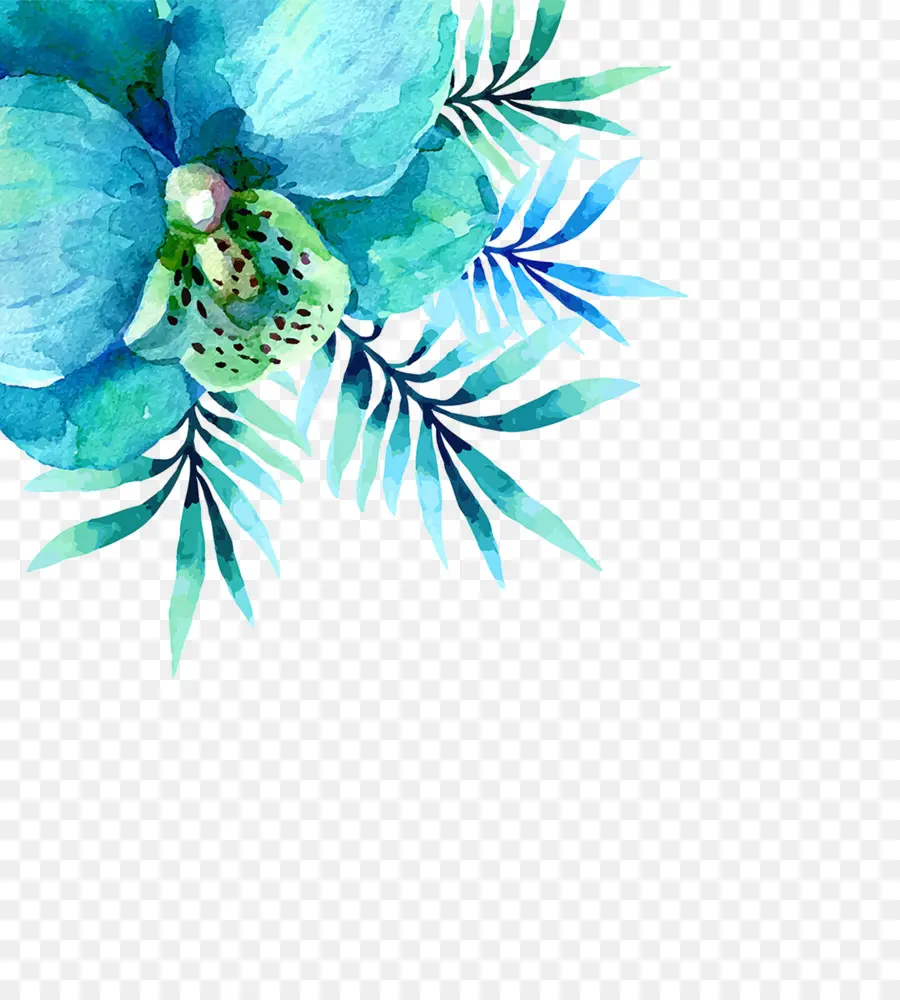 Invitación De La Boda，Acuarela De Flores PNG