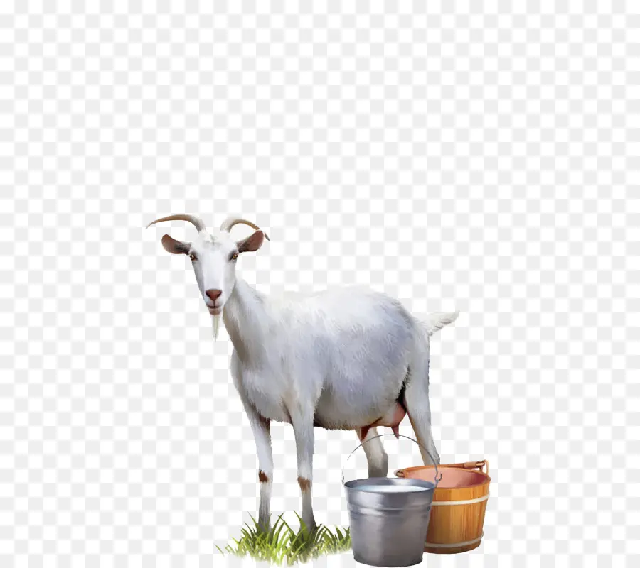 Cabra，La Leche De Cabra PNG