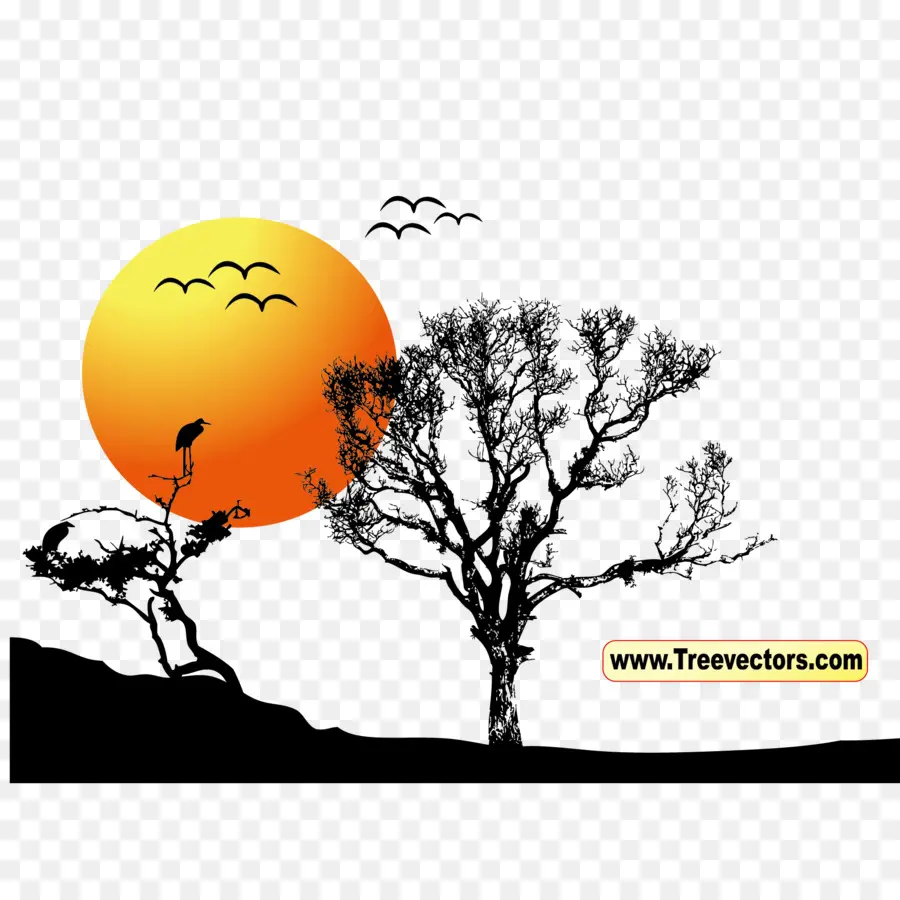 árbol，Puesta De Sol PNG