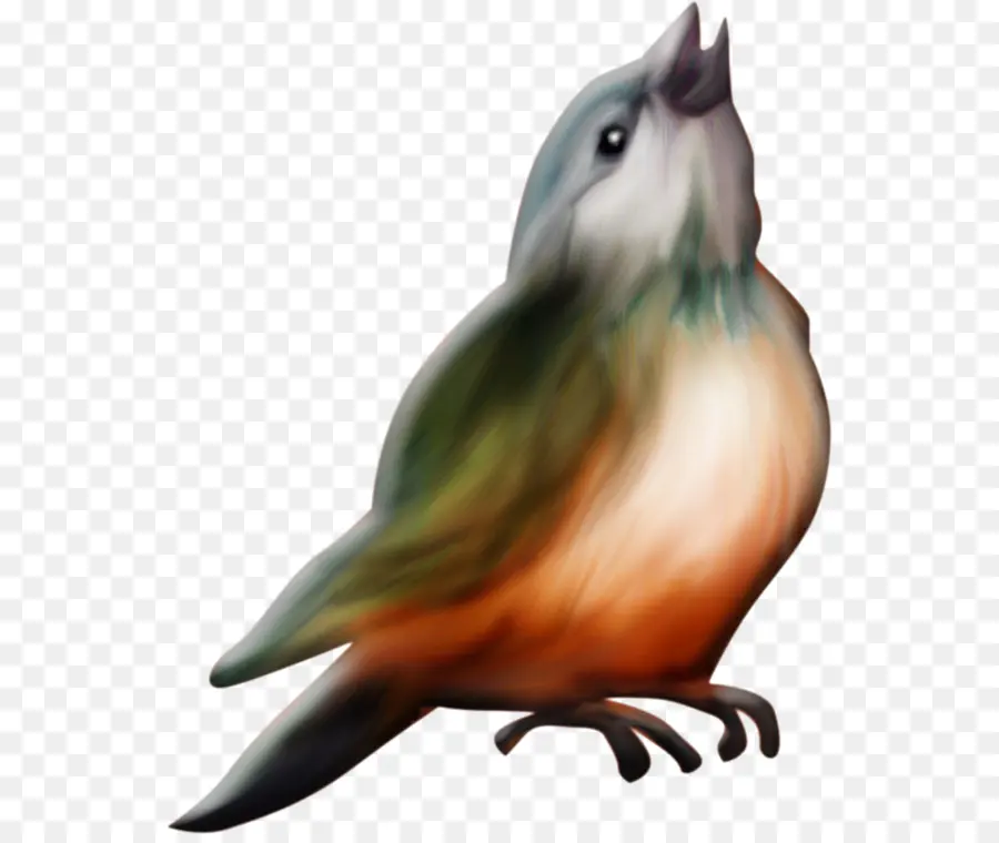 Pájaro，Alondra PNG