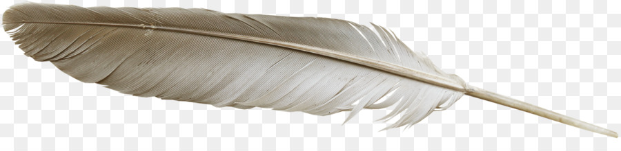 Pluma，La Limpieza Del Hogar De Suministro PNG