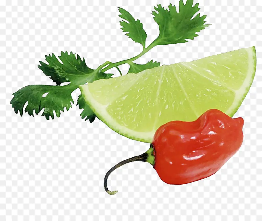 Lima Y Chile，Cilantro PNG