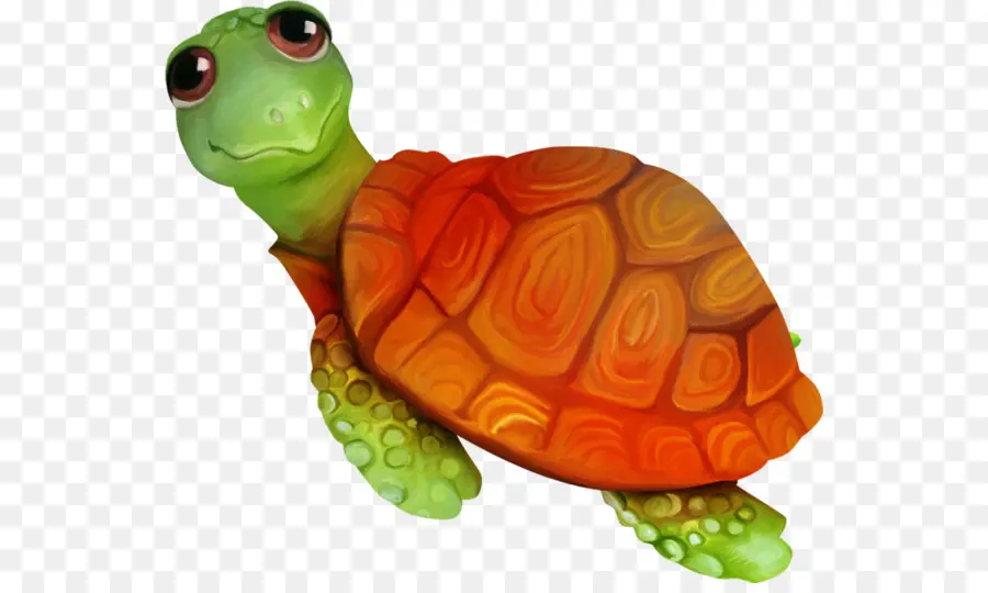 Tortuga，Tortuga De Mar PNG