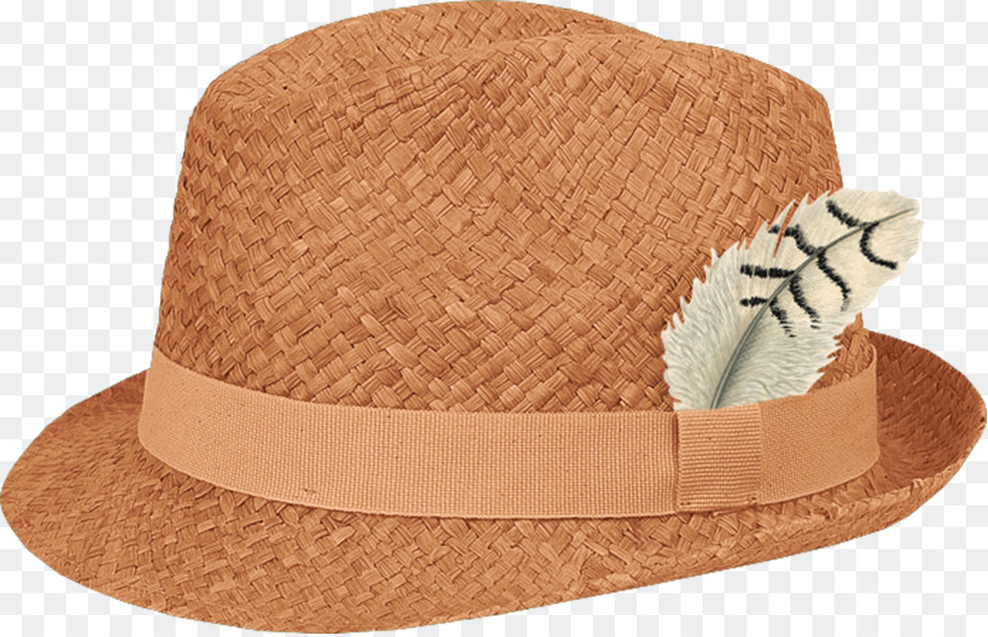 Pluma，Sombrero PNG