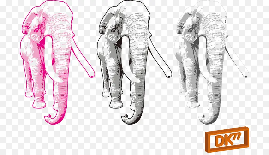 Elefantes，Animales PNG