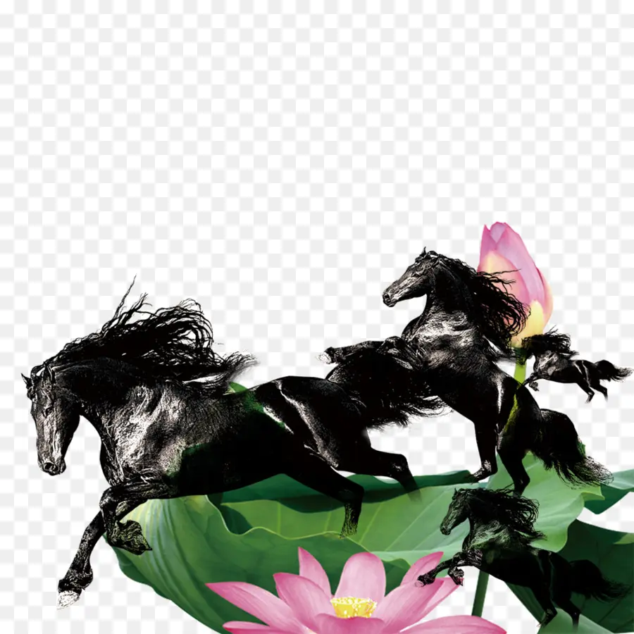 Caballos Negros，Correr PNG